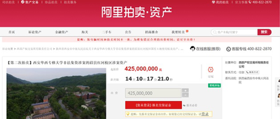 如何参加阿里拍卖