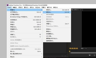 premiere如何更改素材序列