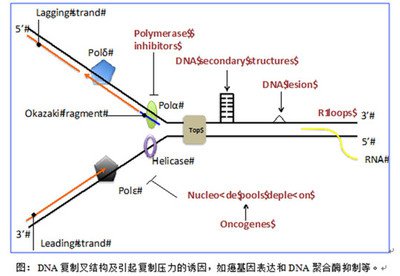 失控进化如何探索隐藏环境