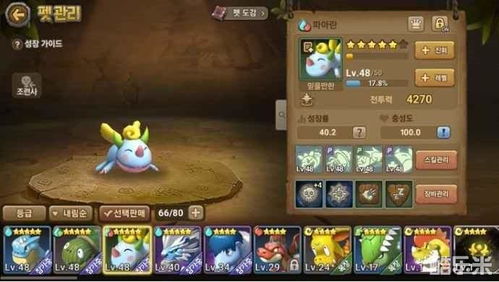 风之国世界中哪些宠物比较好