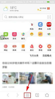 小k浏览器手机版如何设置禁止使用查询付款方式