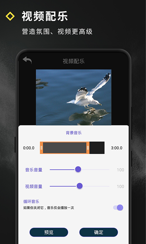 短视频特效全新版本