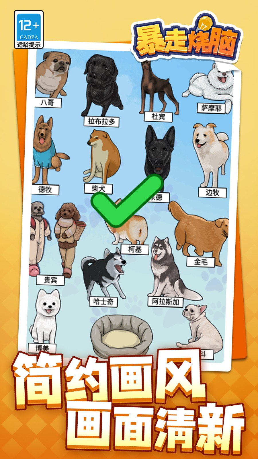 暴走烧脑国际版