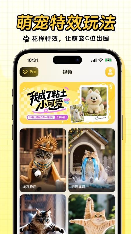 宠玩定制版