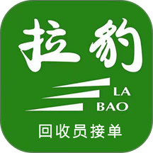 拉豹接单自定义版
