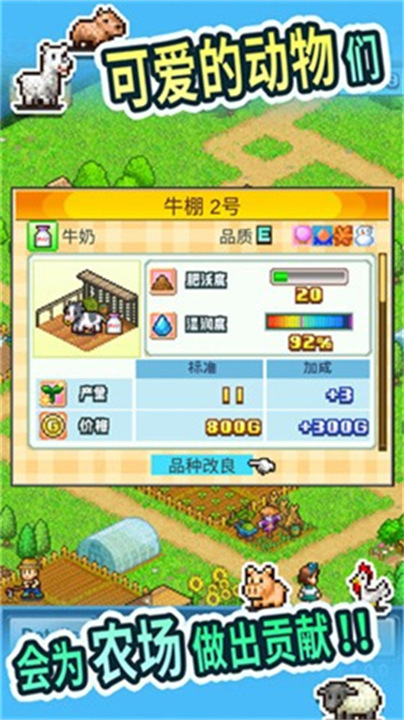 开罗大空庄园先行服