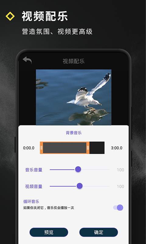 短视频特效免费正版