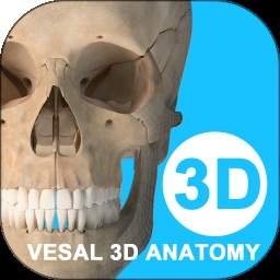 维萨里3D解剖官方版