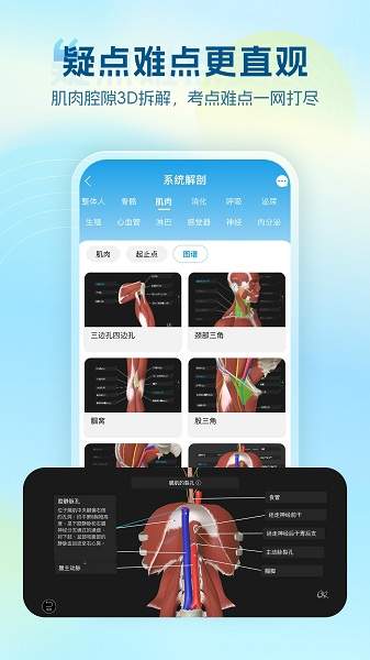 维萨里3D解剖官方版