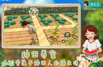 小森生活沙地萝卜怎么种植