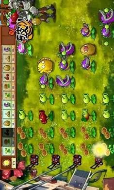 植物大战僵尸融合高数精简版