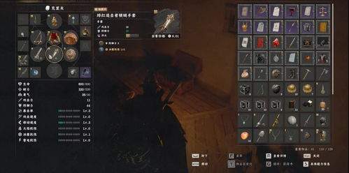 红色沙漠全知识收集有哪些注意事项