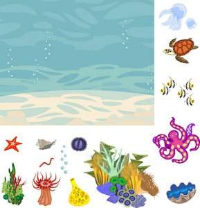 海洋生态系统中含能量最多的生物类群是什么