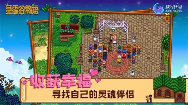 星露谷物语ios付费版
