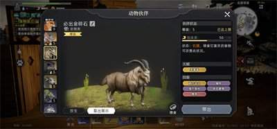 荒原曙光宠物怎么选