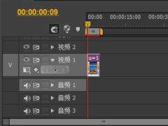 premiere如何调整水平捕捉视图角度