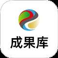 成果库自定义版