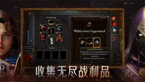 苦痛殿堂付费版
