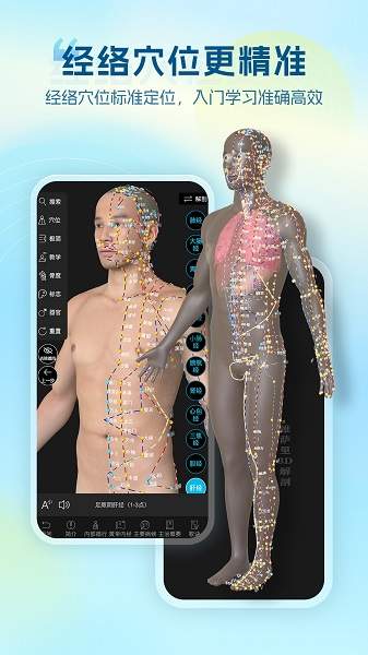 维萨里3D解剖正式版