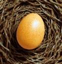 蛋之旅Egg Journey官方版