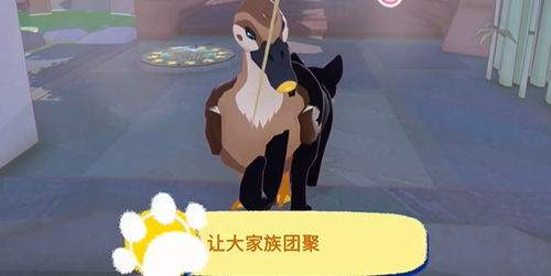 小猫咪大城市怎么获取太妃的新照