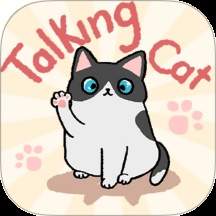 趣味找猫猫国际版