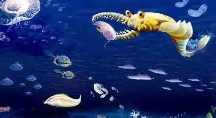 海洋吞噬进化类游戏