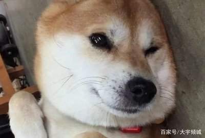 媳妇找茬浴室升级怎么过