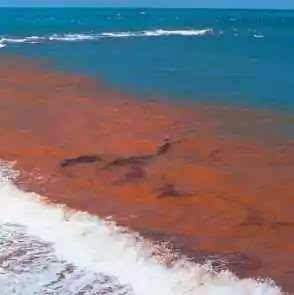 海洋灾害咸潮多发生在河流的哪个位置
