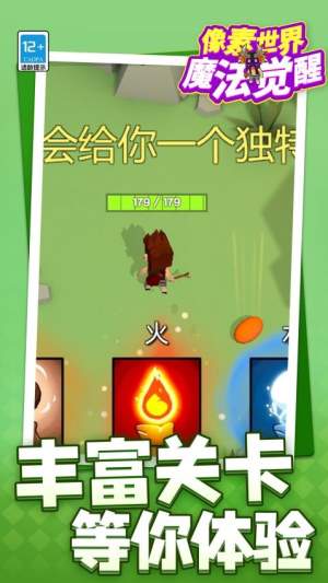 像素世界魔法觉醒正版