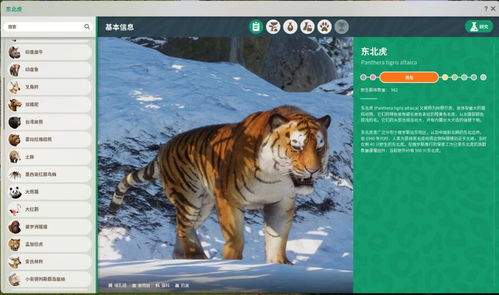 动物园之星2怎么下载安装
