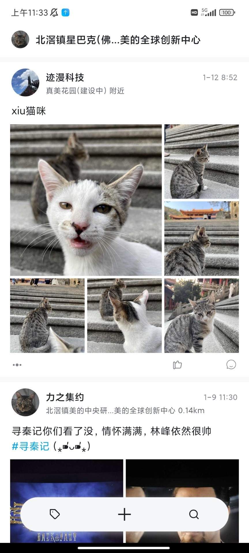 新地NewLand官网版