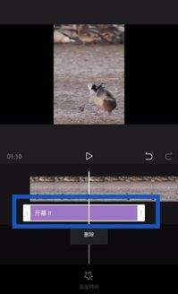剪映如何放大脸部特效