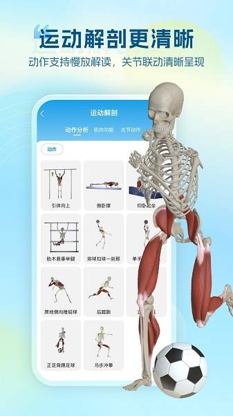 维萨里3D解剖安卓版