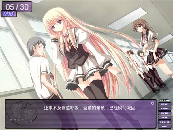 鸑鷟：镜花水月国际版