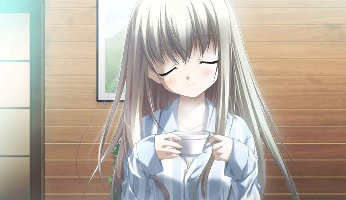 伊甸园galgame汉化版