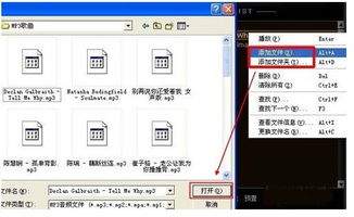 网络收音机怎么导入自定义歌单