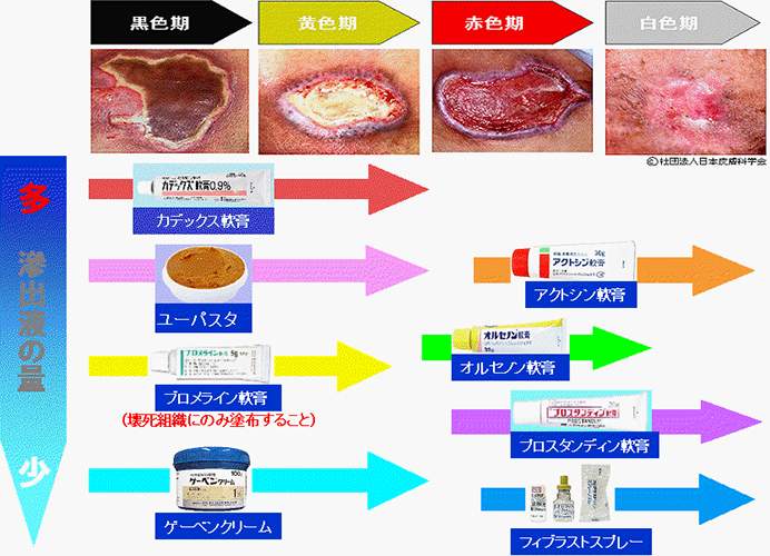 遗忘之海遗迹坐标位置在哪