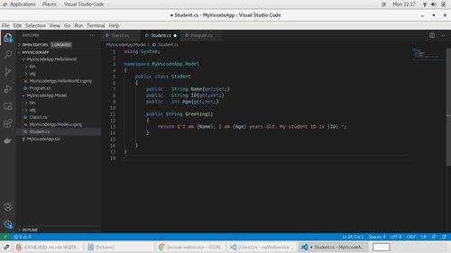 Visual Studio Code调用c项目后如何引用dll