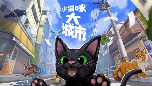 小猫咪大城市狗怎么过