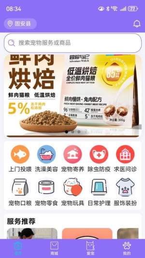 宠星老版本
