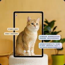 猫箱聊黄会被监测吗
