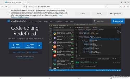 Visual Studio Code安装后打开黑屏如何解决