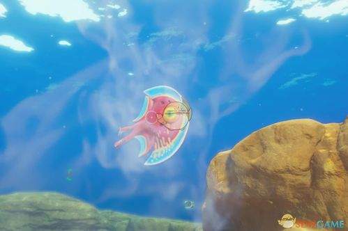 深海迷航2异星水域生物模组如何获取