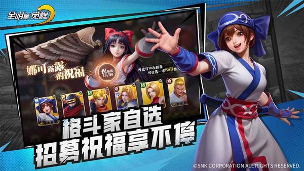 全明星觉醒移植版