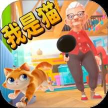 可爱猫咪模拟器存档版