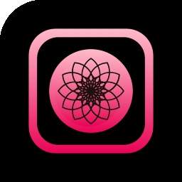 小拍会员免登录