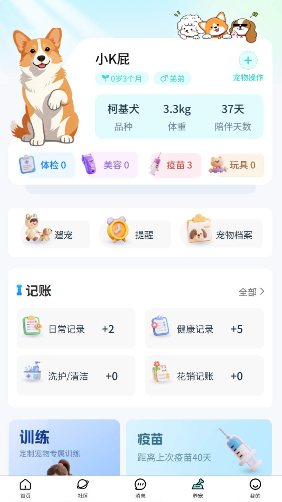乖宠宠老版本