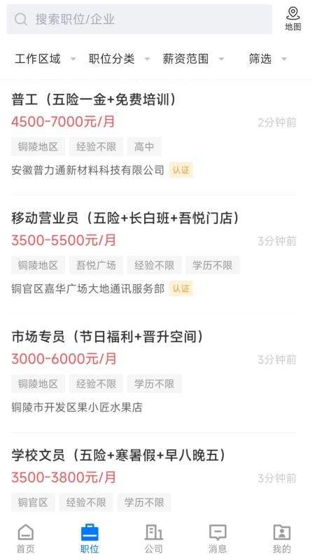 铜陵人才网自定义版
