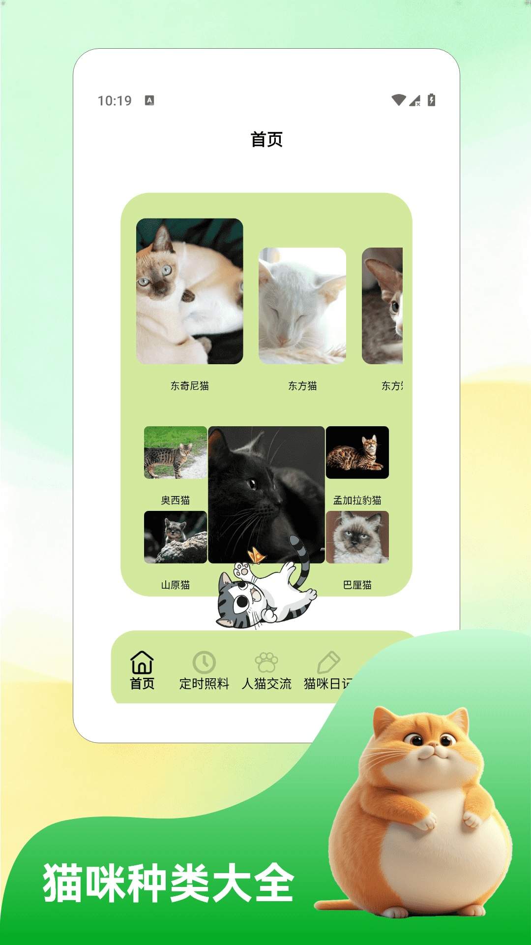 我和猫猫老版本